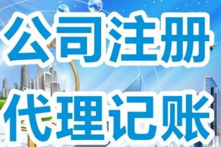 贸易公司注册流程与知识产权代理的协同指南